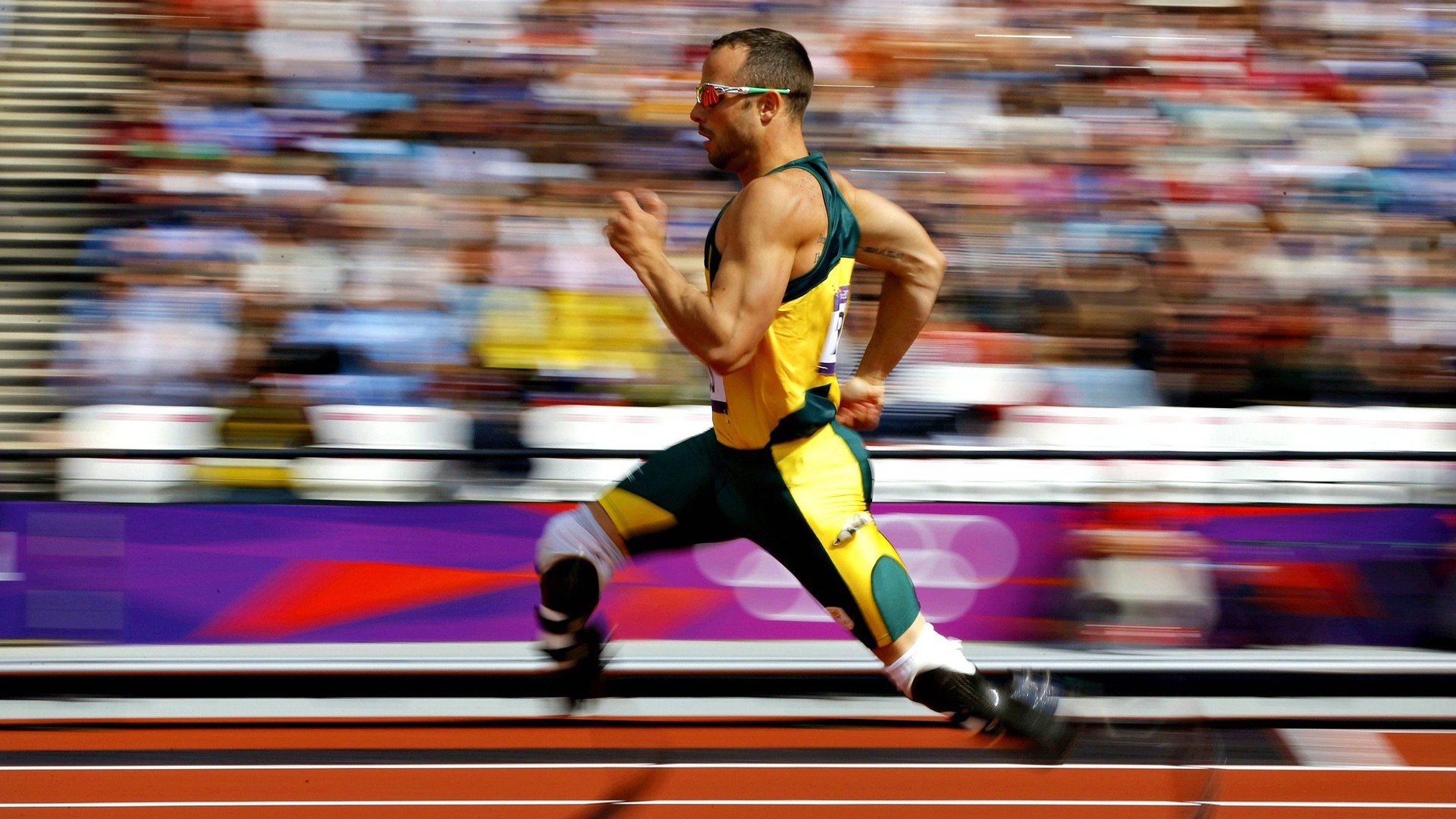 场馆翻新工程引入绿色建材标准,场地翻新